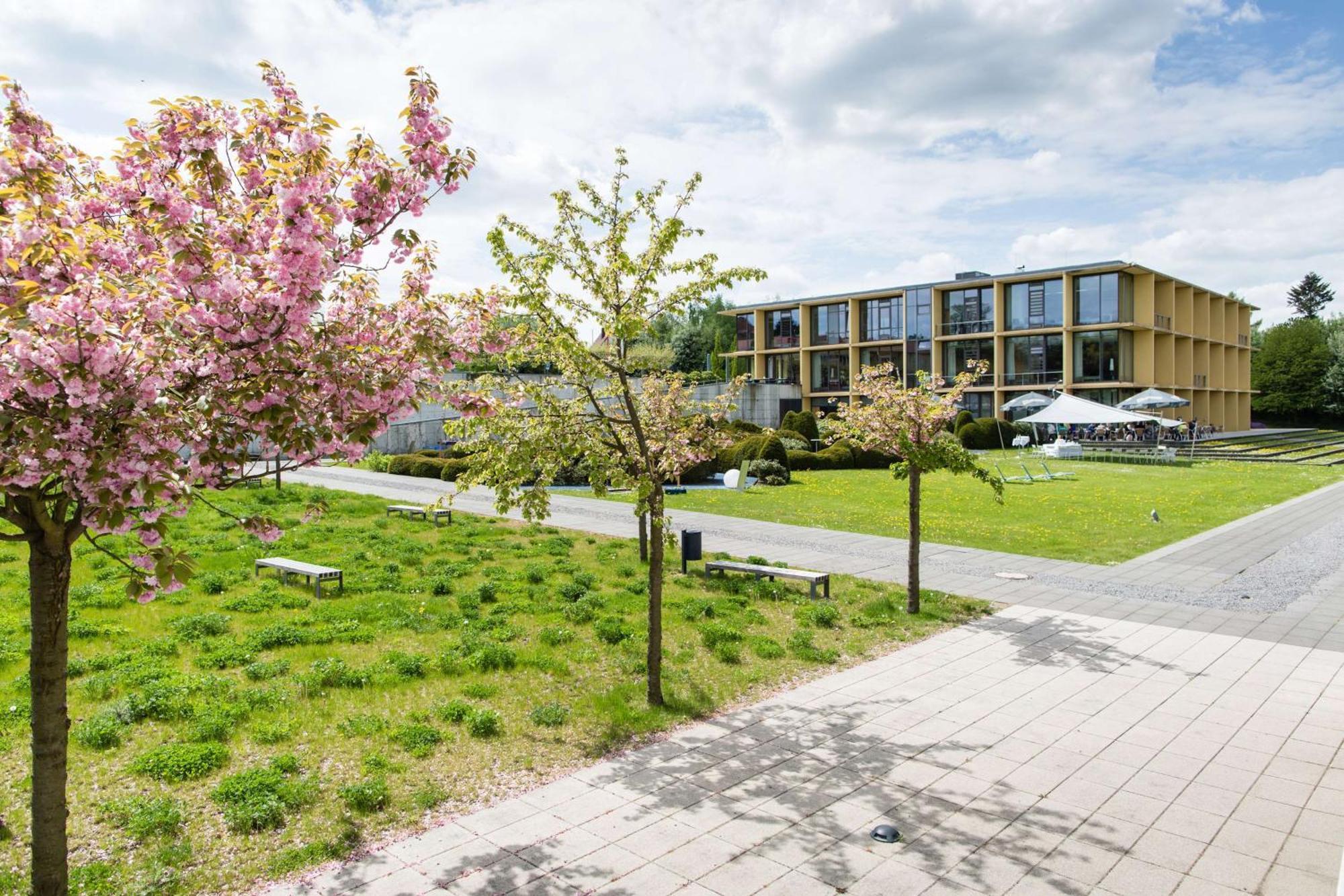 Rugs Hotel Am Schlosspark Lichtenwalde Екстер'єр фото